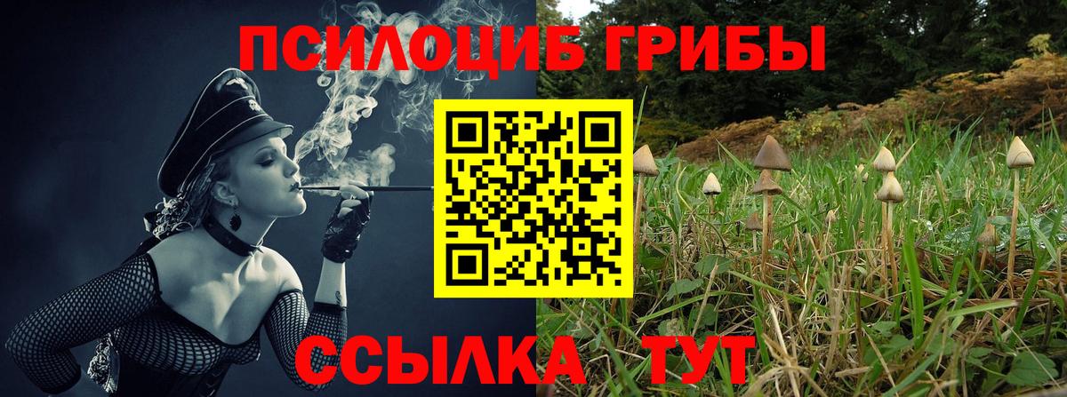 Галлюциногенные грибы мухоморы Гатчина