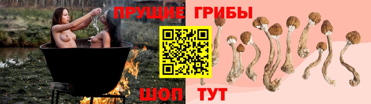Гатчина  Галлюциногенные грибы GOLDEN TEACHER  Вход с VPN  Галлюциногенные грибы MAGIC MUSHROOMS 